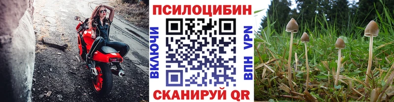 Псилоцибиновые грибы MAGIC MUSHROOMS  Георгиевск 